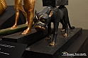 VBS_5249 - Tutankhamon - Viaggio verso l'eternità